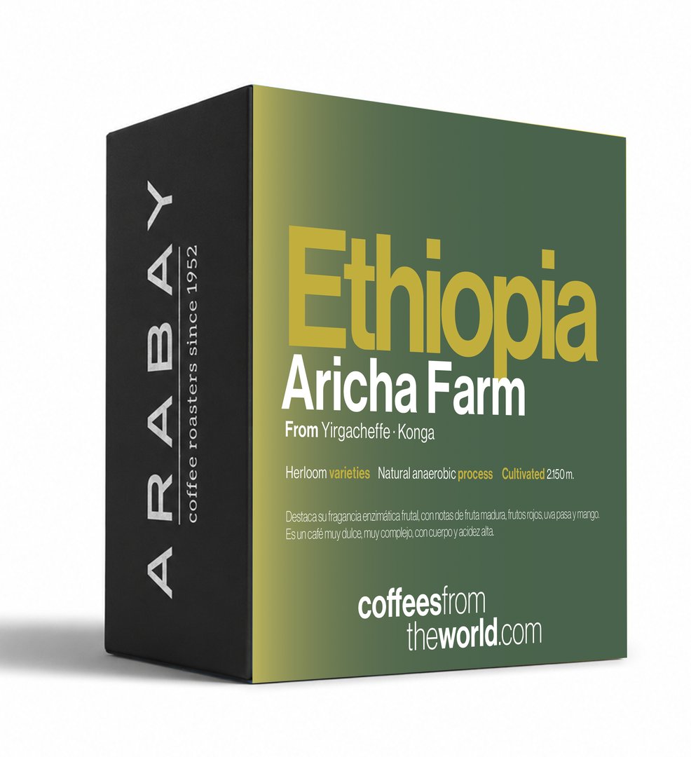 Arabay Etiopía Aricha-Konga